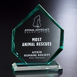 Titan Award 6-1/2